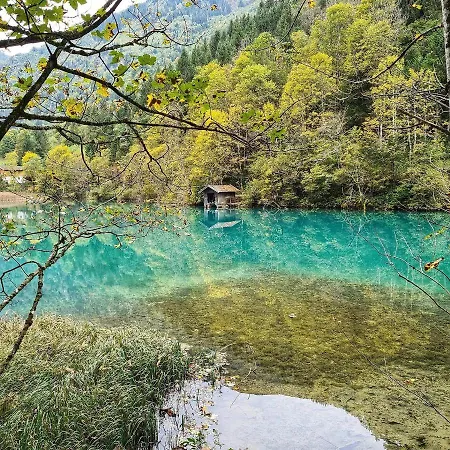 Fischen Fischen im Allgaeu